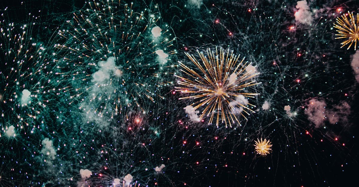 ผลหวยฮานอยวันนี้ ครบทุกรอบ ปกติ VIP พิเศษ | Bonsai Game แทงหวย